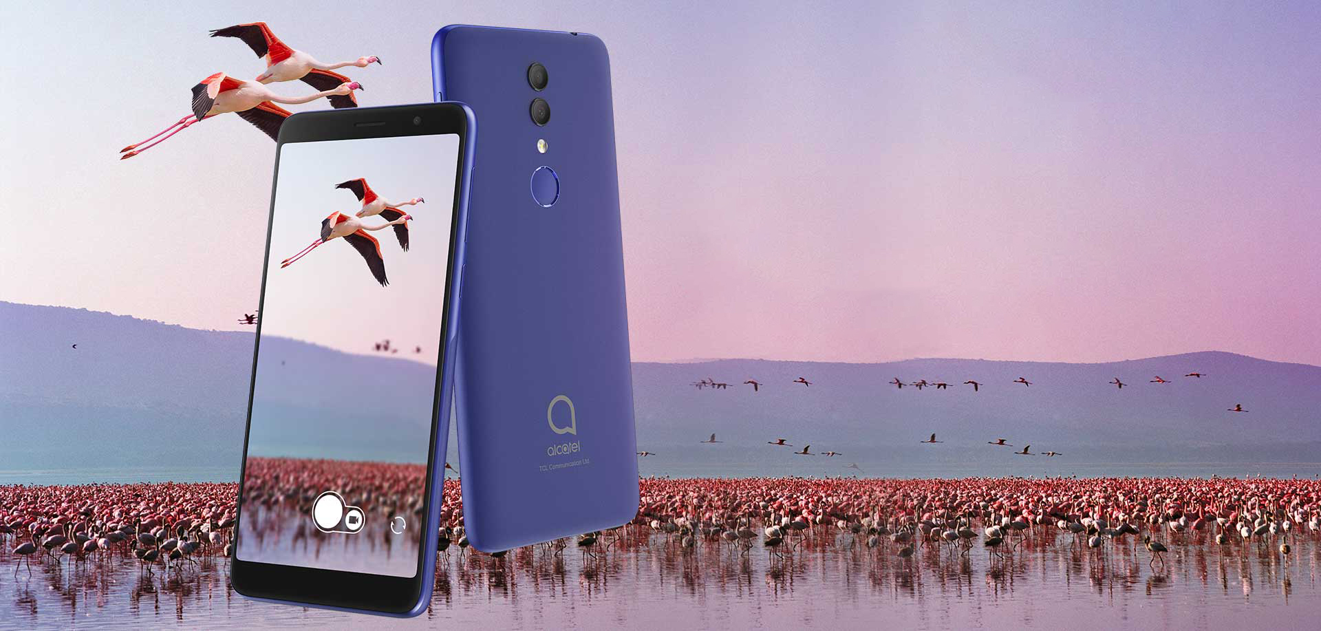 alcatel 1x (2019)